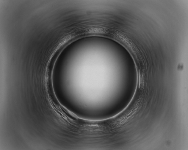 X0000098080435200804041152