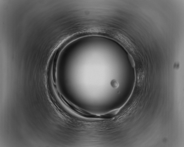 X0000098080436200804041152