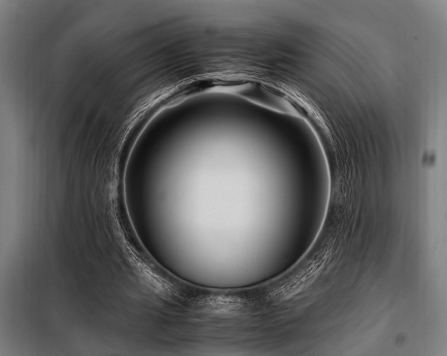 X0000098080437200804041152
