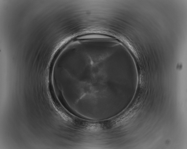 X0000098080438200804041152