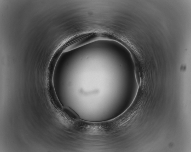 X0000098080440200804041152