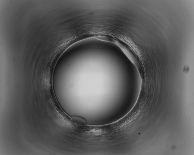 X0000098080441200804041152