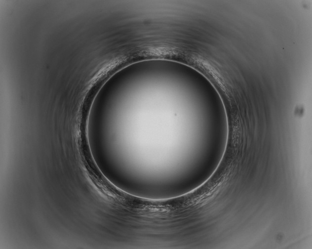X0000098080443200804041152