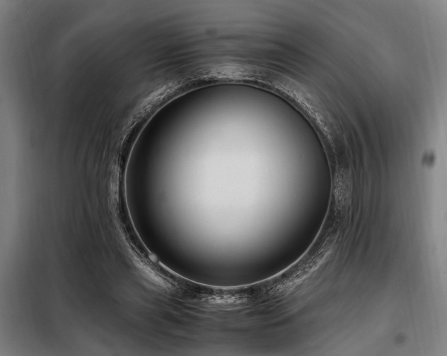 X0000098080445200804041152
