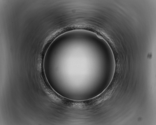 X0000098080446200804041152