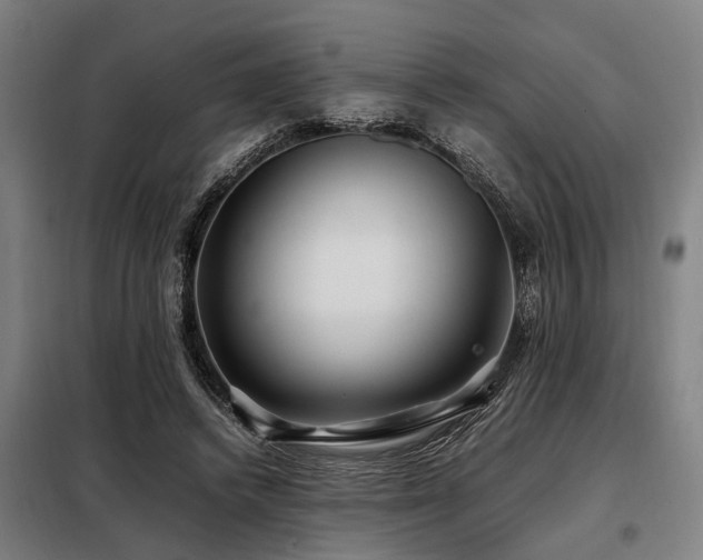 X0000098080448200804041152