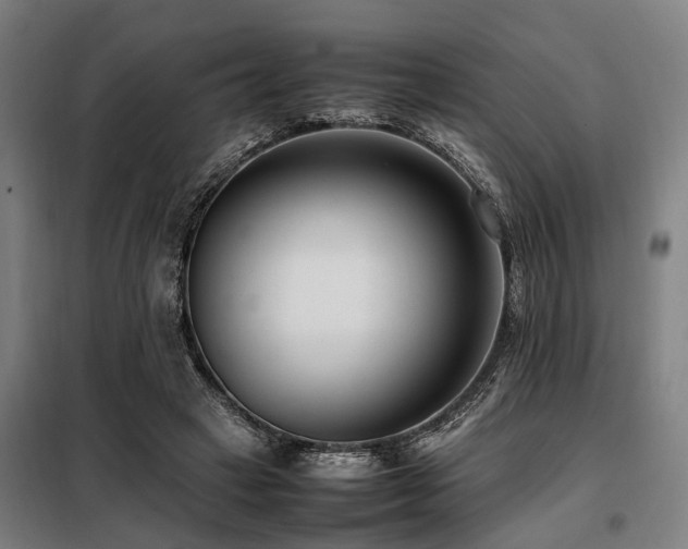 X0000098080449200804041152