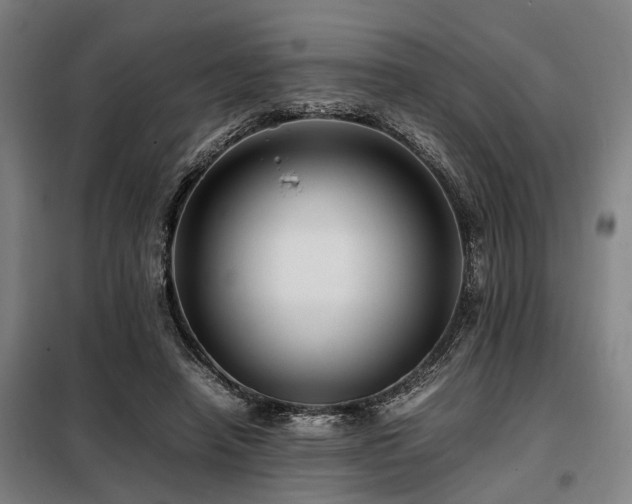 X0000098080450200804041152
