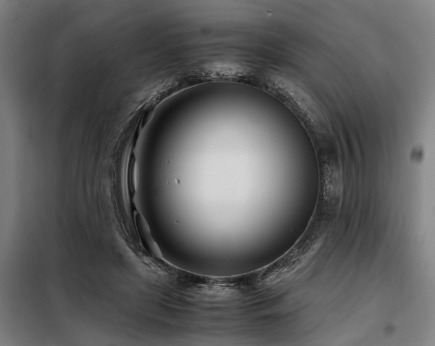 X0000098080451200804041152