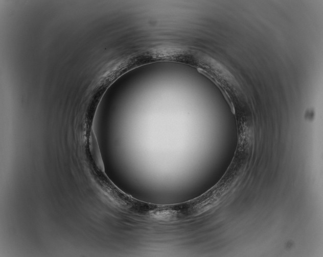 X0000098080452200804041152