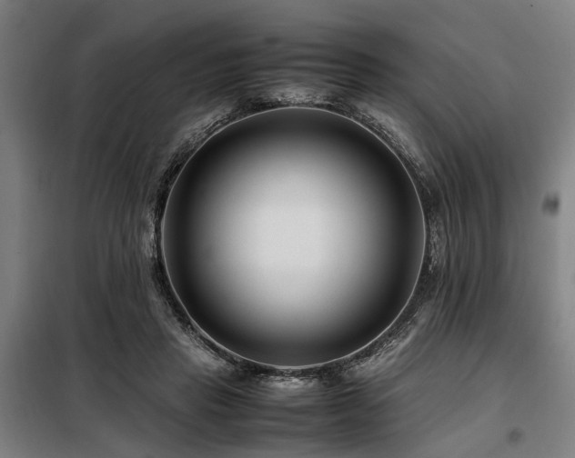 X0000098080453200804041152