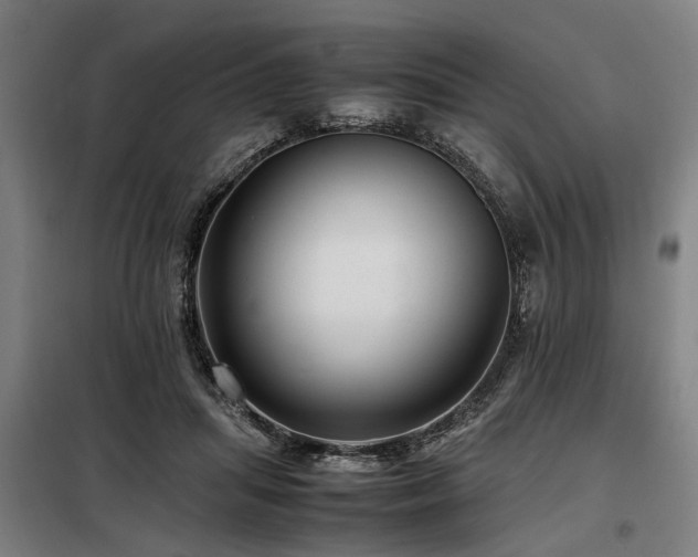 X0000098080455200804041152