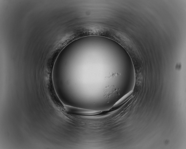 X0000098080456200804041152