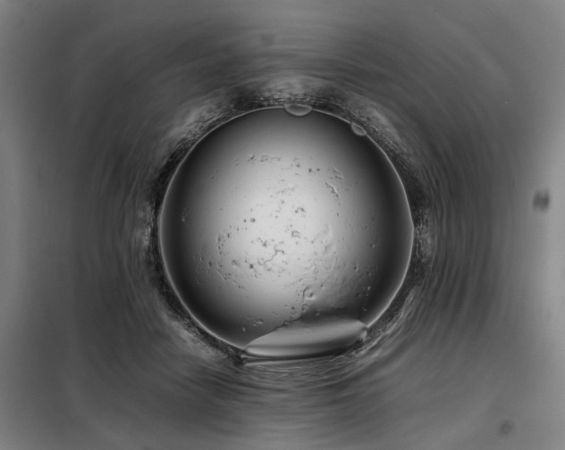 X0000098080458200804041152