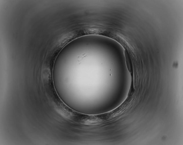 X0000098080459200804041152