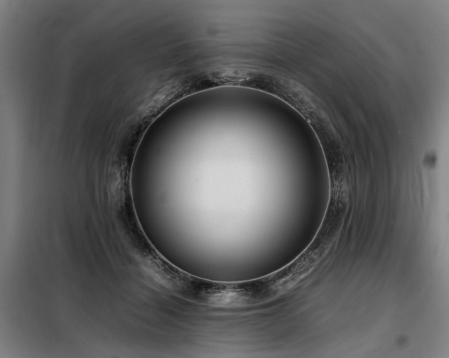 X0000098080460200804041152