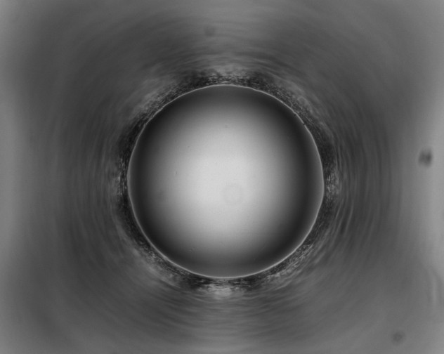 X0000098080464200804041152