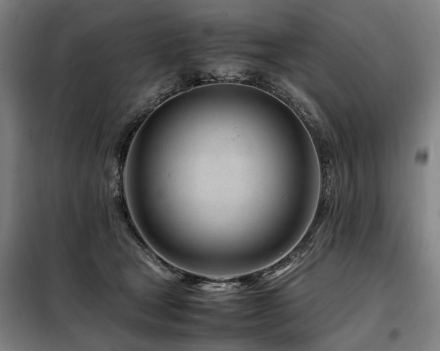 X0000098080465200804041152