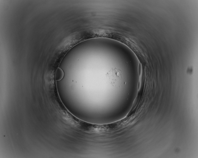 X0000098080466200804041152