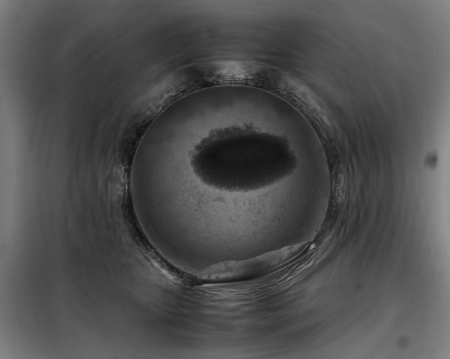 X0000098080467200804041152