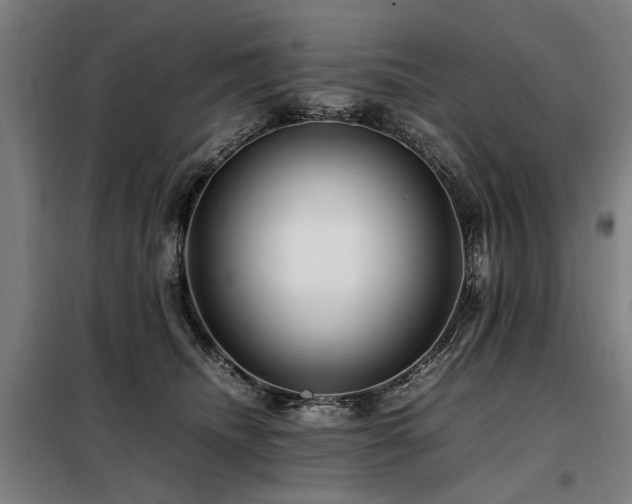 X0000098080468200804041152