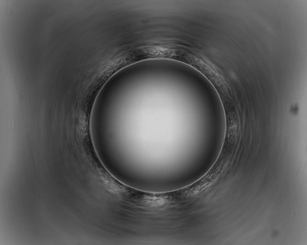 X0000098080469200804041152