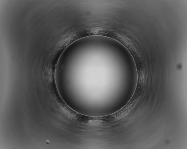 X0000098080470200804041152