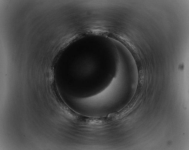 X0000098080471200804041152