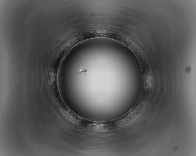 X0000098080472200804041152