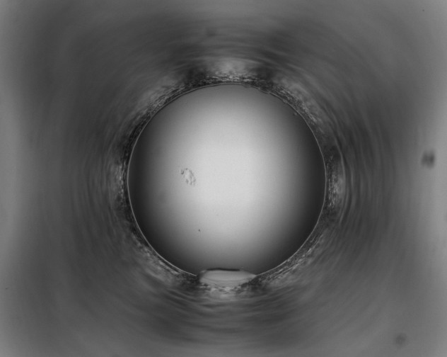 X0000098080473200804041153