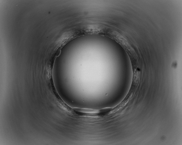 X0000098080474200804041153