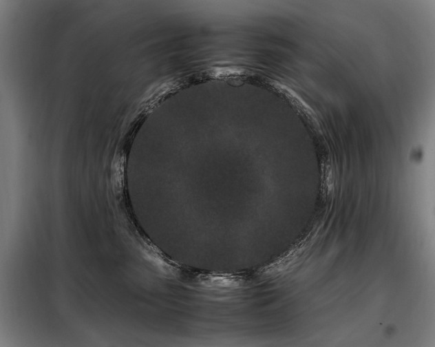 X0000098080475200804041153