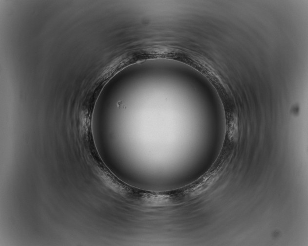 X0000098080476200804041153