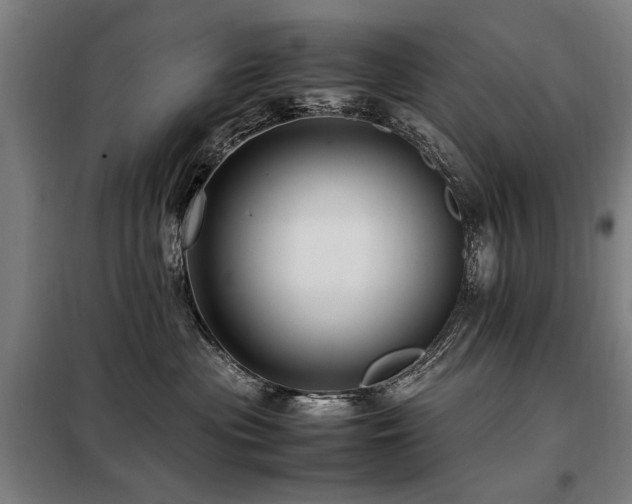 X0000098080477200804041153