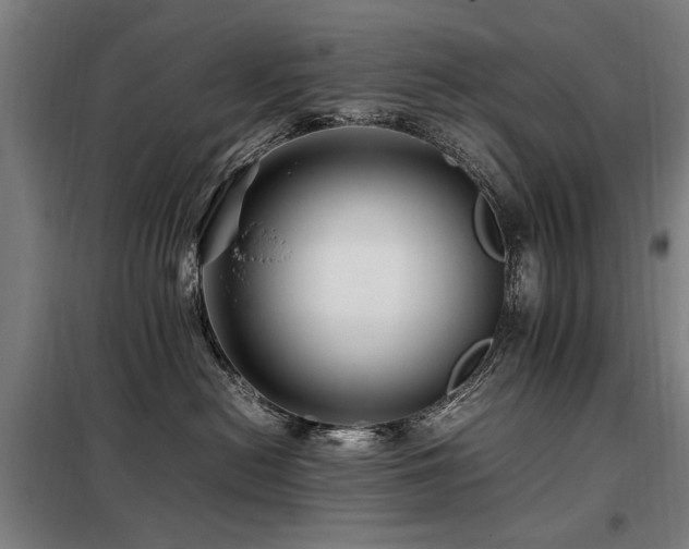 X0000098080478200804041153