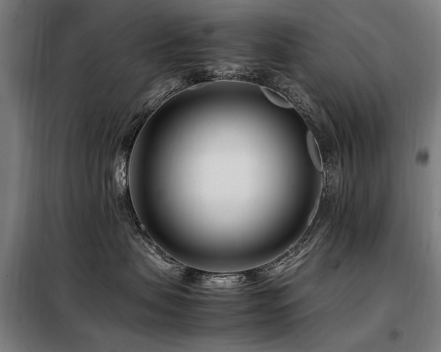 X0000098080479200804041153