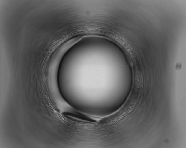 X0000098080481200804041152