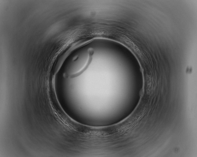 X0000098080482200804041152