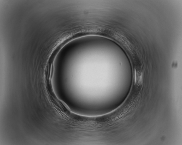 X0000098080483200804041152