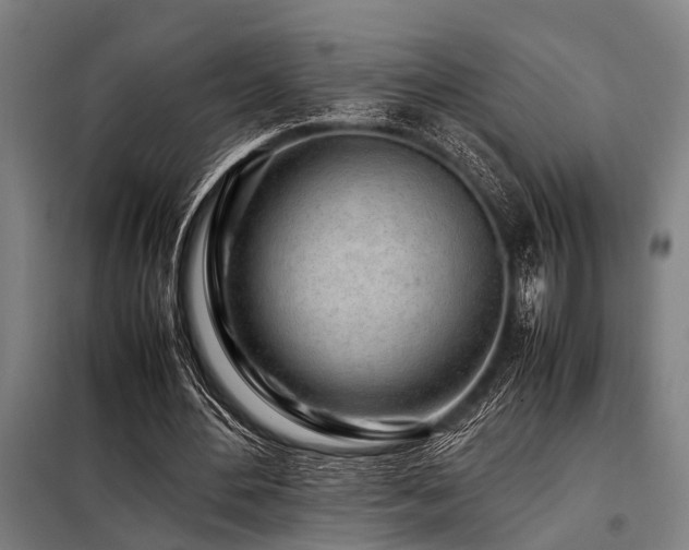 X0000098080484200804041152