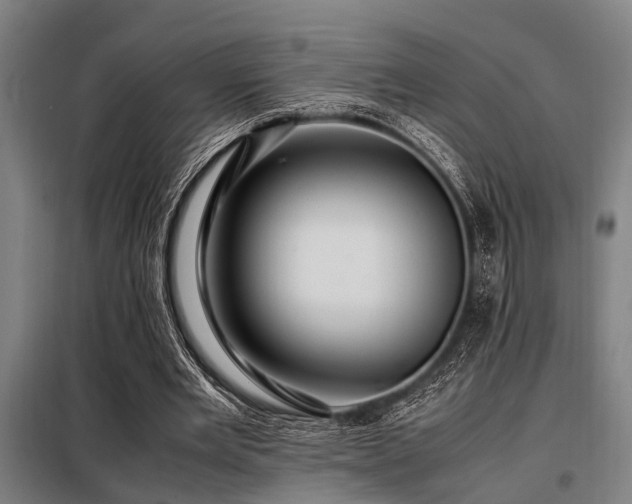 X0000098080485200804041152