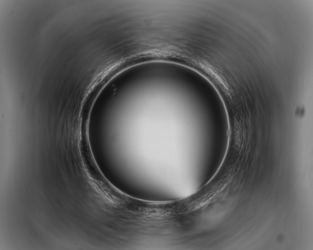 X0000098080486200804041152