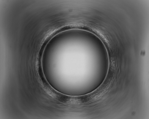 X0000098080487200804041152
