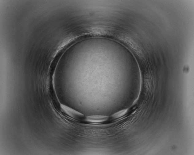 X0000098080488200804041152