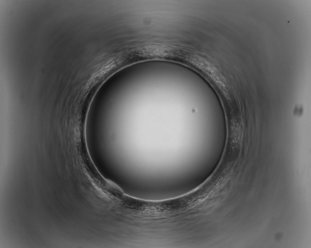 X0000098080489200804041152