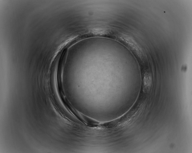 X0000098080492200804041152