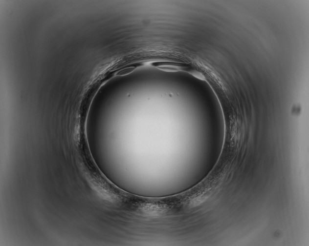 X0000098080494200804041152