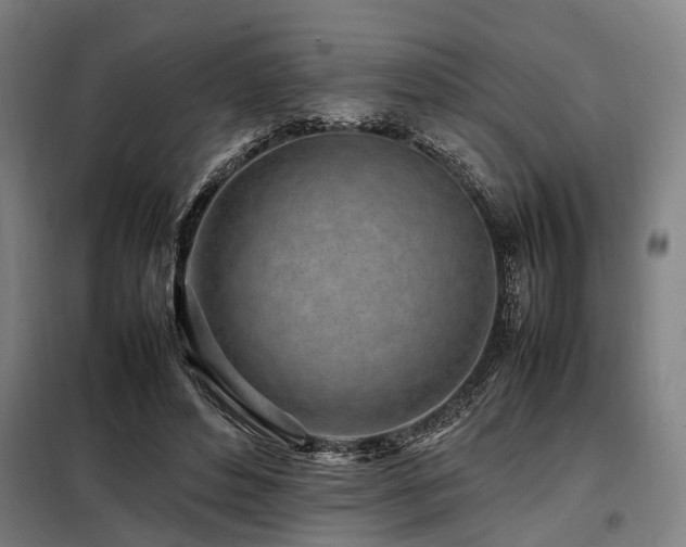 X0000098080496200804041152