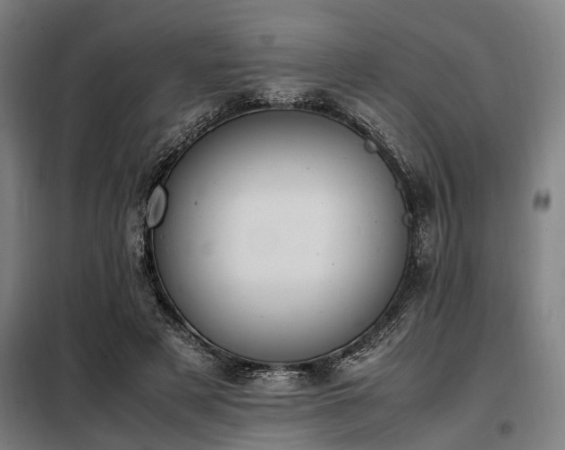 X0000098080497200804041152