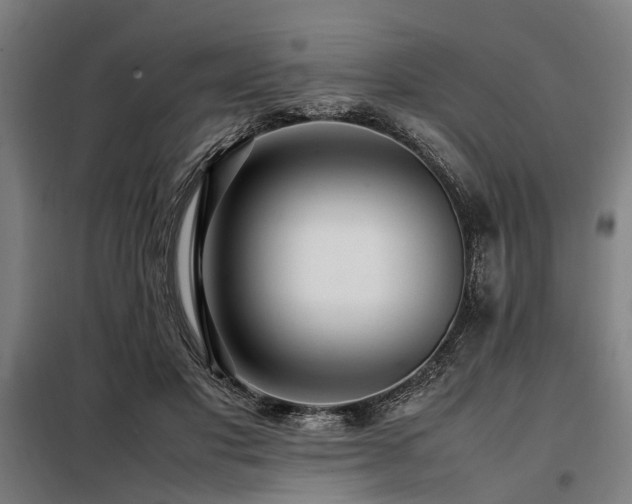 X0000098080501200804041152